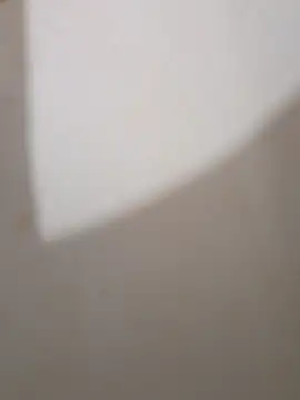 Gusttavotesudoxxvvc online show from September 23, 5:29 am