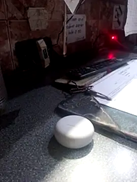 vergonvenco online show from March 26, 4:16 am