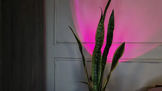 Ice Princess  online show from October 3, 5:23 am