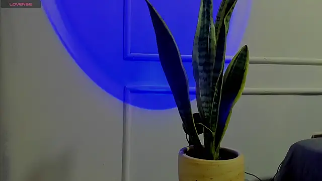 Ice Princess  online show from October 2, 4:38 am