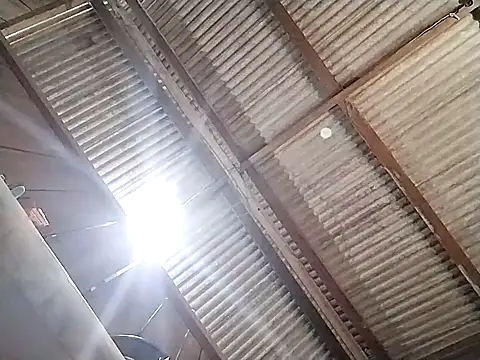 dsvrsa online show from September 25, 4:28 pm