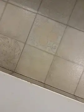 saumon3022 online show from November 14, 3:57 pm