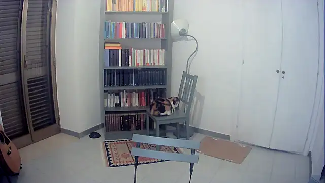 Mrkurt86 online show from October 22, 8:23 pm