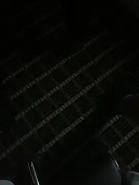 Dallasbest214 online show from February 7, 1:51 pm