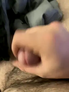 optimus3167 online show from November 24, 6:03 am