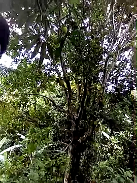 moreno25centimetro online show from February 4, 2:01 pm