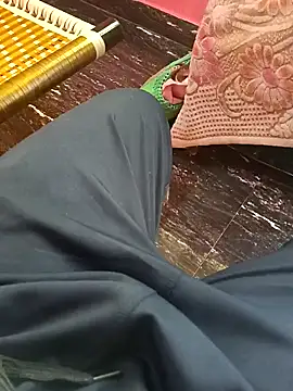 dolphiinn online show from October 29, 1:08 am