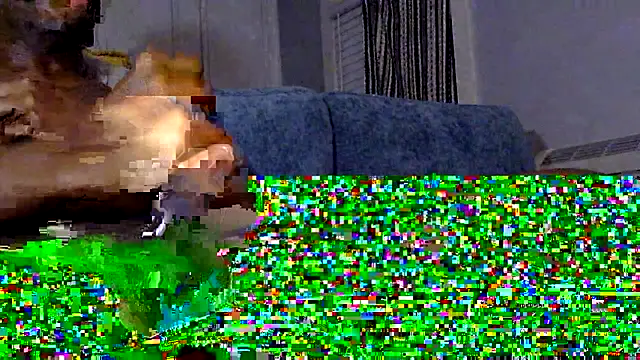 stressreliever94 online show from November 21, 7:29 am