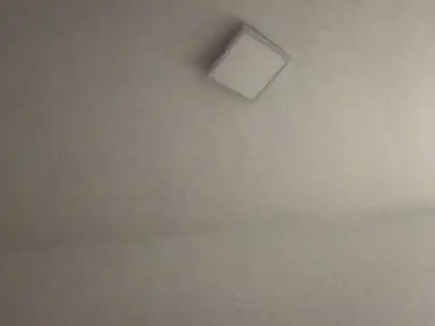 alegriadodia online show from October 8, 7:51 pm