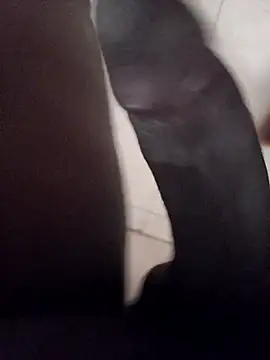 dann201 online show from October 19, 1:03 pm