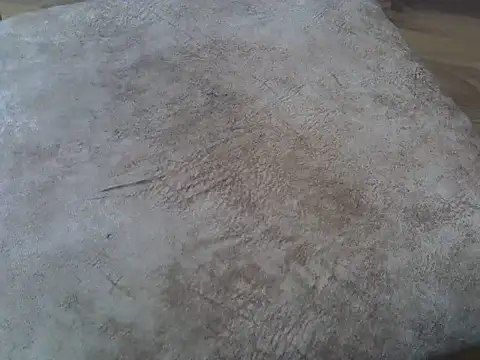 cem07060 online show from October 5, 6:45 pm