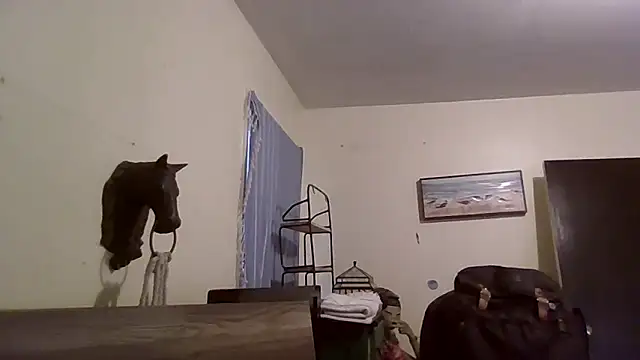 Snapshot of hungspundick1 chatting on October 23, 6:55 pm hungspundick1 online show from October 23, 6:55 pm