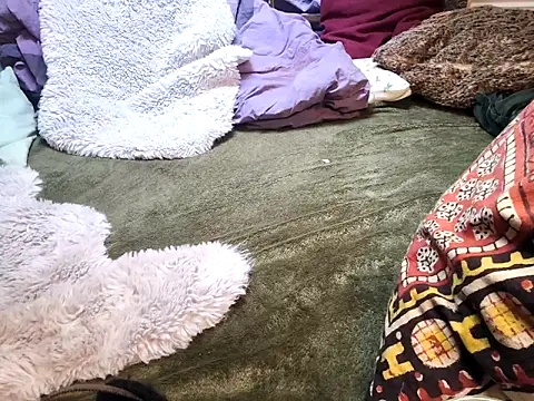 JuliCarl online show from October 21, 10:18 am