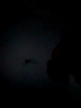 Ramirez4209 online show from November 5, 8:16 am