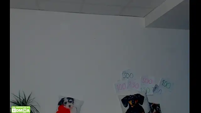 ZeinMiracles online show from February 22, 12:56 am