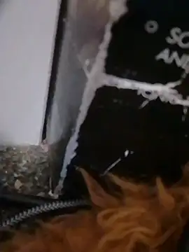 phil4fun4 online show from March 26, 6:56 pm