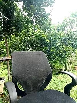 AlphaAlterX online show from October 14, 2:13 pm