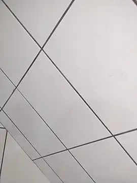 Novin23cms online show from December 19, 4:04 pm