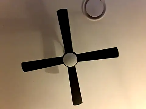 brokecountrylads online show from November 28, 11:23 am