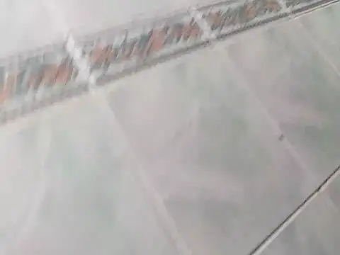 dogi909020 online show from September 9, 3:39 am