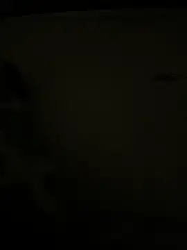 Alex 719100 online show from October 25, 7:32 am