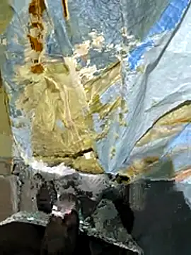 Chanti8096 online show from November 28, 5:15 pm