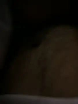 sukebegorilla online show from November 24, 5:14 pm