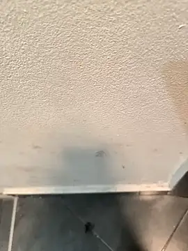 penchis90 online show from December 16, 8:10 am