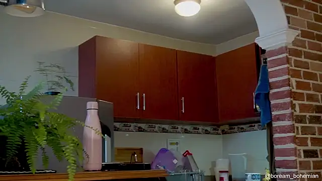 boream online show from November 24, 12:28 pm