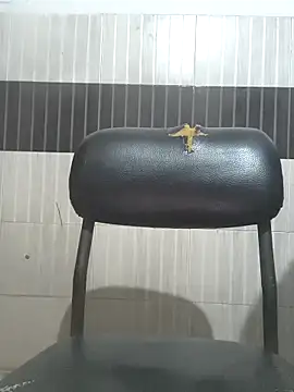 theindianjason online show from September 10, 5:33 pm