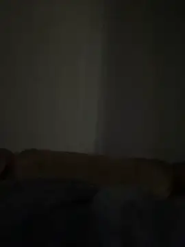 daddycreampies online show from September 23, 5:01 pm