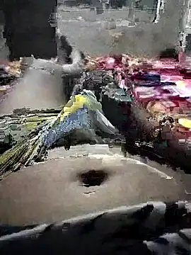 samsharma- online show from September 17, 2:29 pm