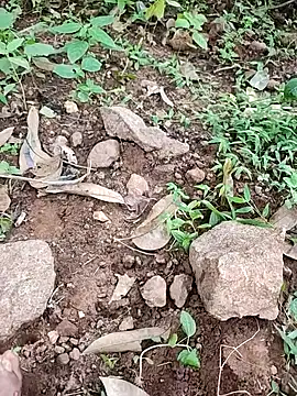 telugumodda4396 online show from September 25, 8:24 am