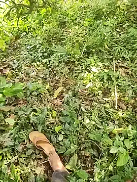 telugumodda4396 online show from September 23, 8:13 am