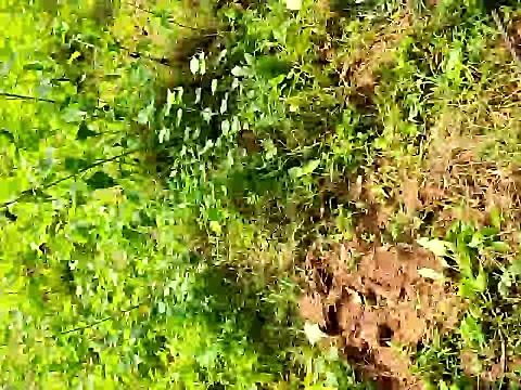 telugumodda4396 online show from September 24, 8:13 am