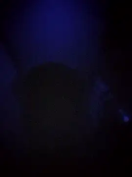 sham 112 online show from October 7, 10:47 pm