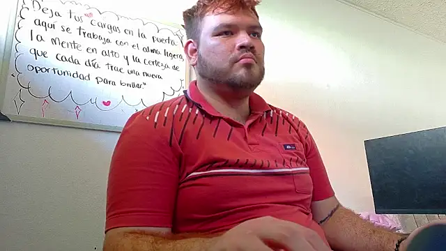 big bearr online show from November 26, 1:36 pm