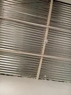 kingbickcockDn online show from November 23, 5:35 pm