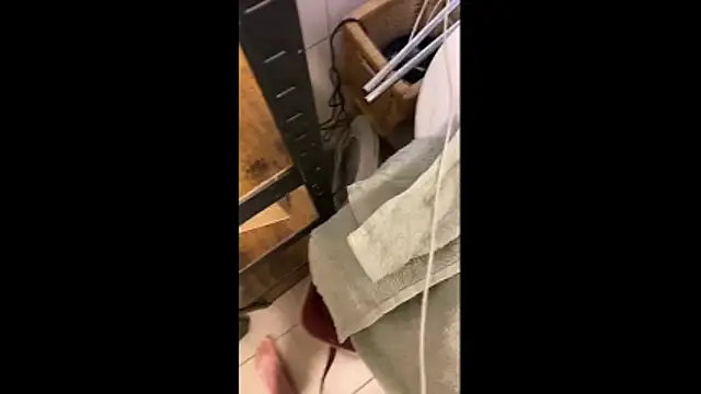 MolleDolle online show from December 19, 10:56 am