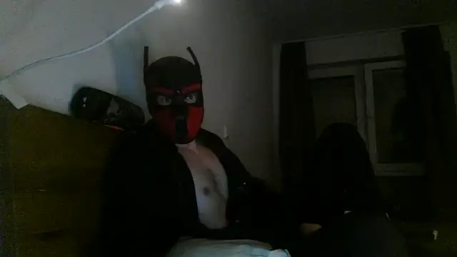 MolleDolle online show from December 3, 10:49 pm