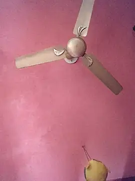 use 19 online show from November 12, 8:31 am