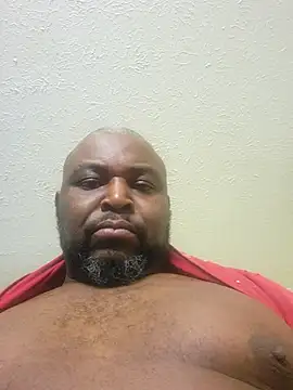 diquemon online show from December 4, 11:01 pm