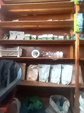 szabi1995 online show from January 10, 8:07 am