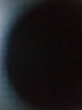 Wolfsexass online show from October 16, 6:54 am