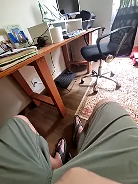 Scorpions2025 online show from October 29, 12:30 pm