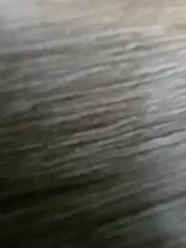 vivodan online show from April 4, 3:09 pm