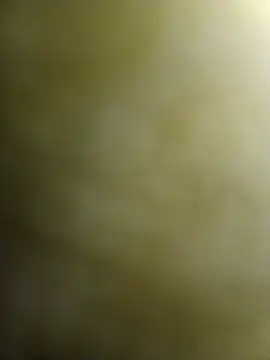 Josenav44 online show from November 8, 1:31 am