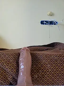 hotestanal online show from November 28, 12:40 pm