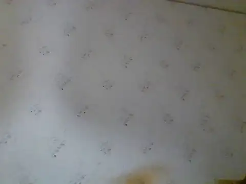 Kreol69 online show from November 10, 6:24 pm