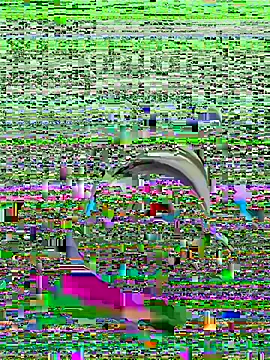 Kyser91 online show from May 29, 8:41 pm